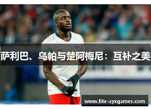 萨利巴、乌帕与楚阿梅尼:互补之美