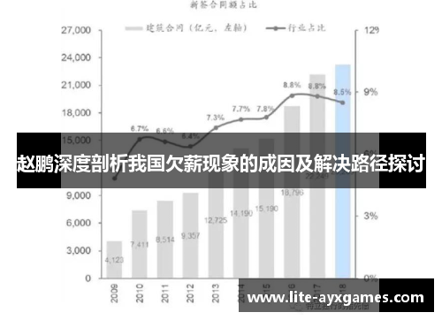 赵鹏深度剖析我国欠薪现象的成因及解决路径探讨 赵鹏深度剖析我国欠薪现象的成因及解决路径探讨