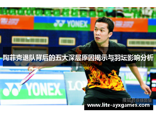 陶菲克退队背后的五大深层原因揭示与羽坛影响分析