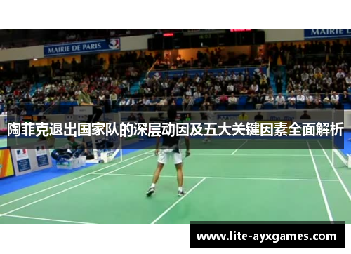 陶菲克退出国家队的深层动因及五大关键因素全面解析 陶菲克退出国家队的深层动因及五大关键因素全面解析